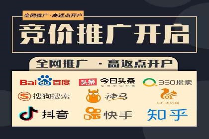百度推广中的创意策略：成功案例解析与启示